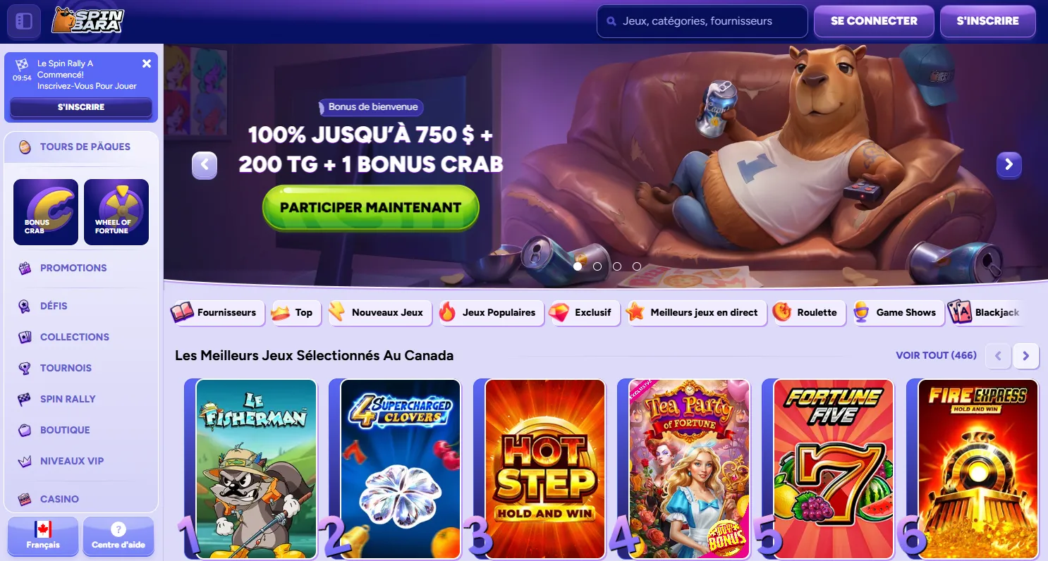 Caractéristiques de l'application casino mobile